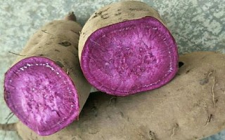紫薯和紅薯的區(qū)別，前者味甜較貴、后者甜味淡較便宜