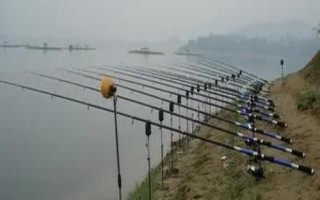 性價(jià)比高的海竿推薦，看看這十款