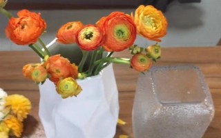 夏天怎樣讓鮮花保鮮時(shí)間長(zhǎng)一點(diǎn)，將鮮花養(yǎng)護(hù)在通風(fēng)陰涼的地方