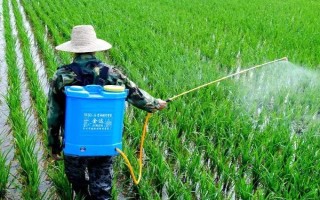 5克惡霉靈的兌水量，取決于使用方法