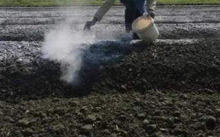 撒生石灰多久能種東西，通常要1個(gè)星期以上
