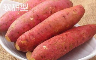 六鰲紅蜜薯的產(chǎn)地，福建省漳浦縣主產(chǎn)