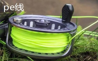 釣黑魚用什么竿線鉤，可以使用傳統(tǒng)竿、pe線、伊豆鉤等漁具