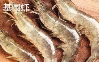 鮮活基圍蝦的價格，市場售價一般與規(guī)格有關(guān)