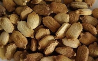 苦瓜的種植時(shí)間，南方在1-3月露天種植