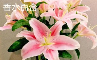 百合花屬于蜜源植物嗎，不同品種開花時間不同