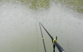 下雨天是否容易垂釣黃尾魚，蒙蒙細(xì)雨天更容易釣獲
