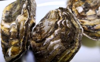 牡蠣和生蠔有什么區(qū)別，牡蠣的裙邊較清晰打開后具有大量汁水