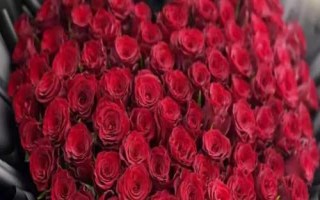 99朵玫瑰代表什么，寓意愛情永久、愛的諾言等