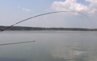 水庫釣大魚適合用玉米還是餌料，傳統(tǒng)釣法可使用玉米