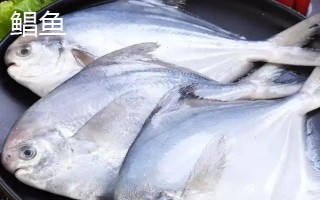 魚是哪種生殖方式，屬于有性生殖