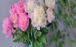 芍藥鮮花的水養(yǎng)方法，使用細(xì)口的容器水養(yǎng)為佳