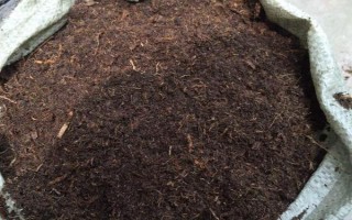天竺葵為什么不能用大盆，小盆可使根系更好的吸收水分和肥料