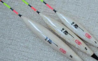 野釣鯽魚用什么漂型，可選擇蘆葦漂或長棗核型浮漂、孔雀翎浮漂