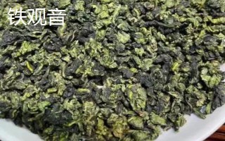 鳳凰單叢屬于紅茶還是綠茶，屬于烏龍茶