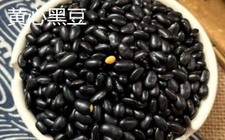綠心黑豆和黃心黑豆區(qū)別，外觀和口感均不同
