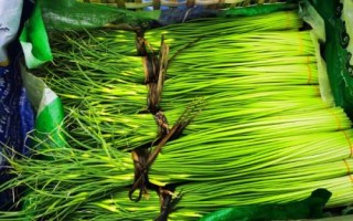 蒜苔的保存時(shí)間，主要取決于保存環(huán)境