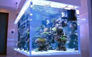 魚缸重新?lián)Q水多久可以放魚，至少要三天才可以放魚