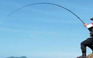 秋釣技巧，在水草區(qū)、入水口等位置釣魚(yú)更容易釣獲