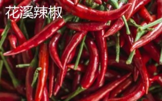 適合貴州種植的辣椒品種，是全國最大的辣椒交易市場
