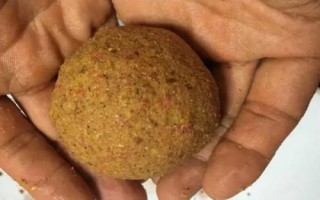 春釣大鯽魚(yú)如何選擇釣位，早春可在回水灣作釣