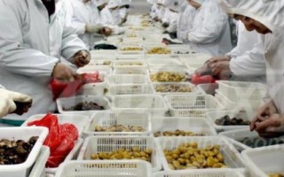 目前農(nóng)村種什么東西比較賺錢，種植金銀花的利潤比較可觀