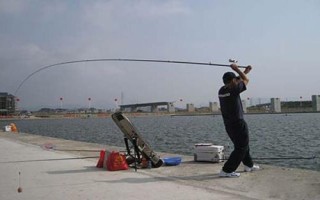 水庫淡水鱸魚怎么釣，真餌或假餌都適用