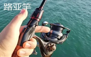 釣黑魚用什么竿線鉤，可以使用傳統(tǒng)竿、pe線、伊豆鉤等漁具