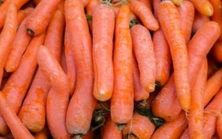紅蘿卜保存方式，以下3種方法均可嘗試