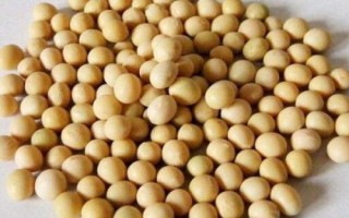佳豆32大豆品種的特性，選擇中等肥力地塊種植