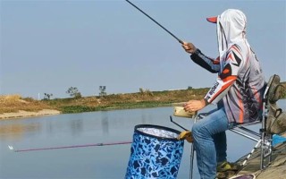2.0號(hào)子線可以釣多重的魚(yú)，確保質(zhì)量能應(yīng)付10斤以內(nèi)的魚(yú)類