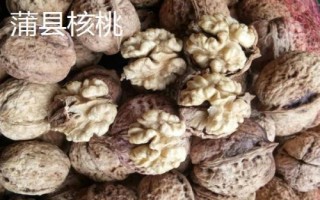 山西省蒲縣的特產(chǎn)，蒲縣黑木耳非常有名