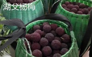 江蘇宜興的特產(chǎn)，宜興烏米飯是標志性的旅游特產(chǎn)