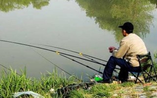 羅非魚開口吃餌的時(shí)期，氣壓驟升或連續(xù)升高的天氣更容易開口