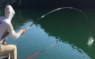 9號伊豆魚鉤的型號，鉤身長度接近13毫米