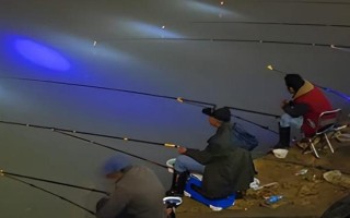晚上釣魚用蚯蚓好還是用餌好，用蚯蚓更好