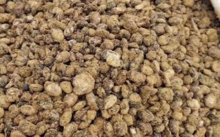 如何用大豆巧制氨基酸葉面肥，大豆粉和發(fā)酵菌劑的比例為1:100