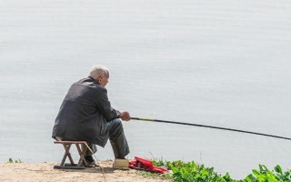 雞肝能不能釣魚(yú)，雞肝能釣魚(yú)