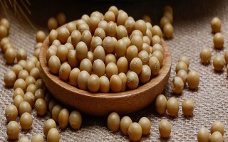 中黃48大豆種子簡(jiǎn)介，注意防治病蟲(chóng)害