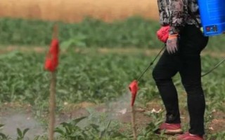 魚蛋白不能與什么肥料混用，目前還未發(fā)現(xiàn)不可混用的肥料
