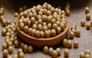 龍達157大豆種子特點，高肥力地塊2萬株/畝