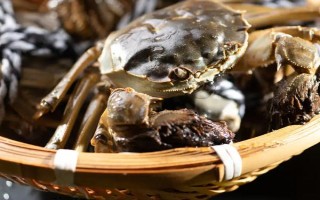 24小時(shí)之內(nèi)死了的螃蟹能不能吃，需要根據(jù)保存條件決定