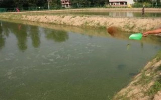 養(yǎng)殖泥鰍所需環(huán)境，需從水庫、江河、湖泊中獲取干凈的水源