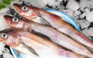 什么是明太魚，學(xué)名叫做黃線狹鱈