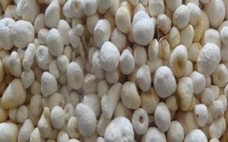 半夏的種植技術(shù)，可用塊莖、珠芽和種子繁殖