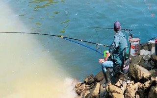 氣溫20℃釣鰱鳙效果好不好，垂釣效果非常不錯