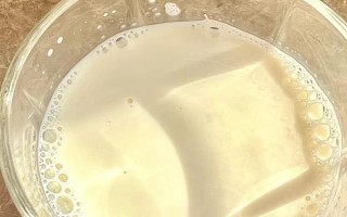 貓貓不能吃的食物，不能喂食牛奶、巧克力等