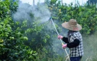 葉枯唑防治什么病害，可有效防治水稻葉枯病、條斑病等