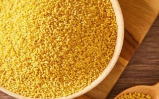 中國(guó)最好的小米產(chǎn)地在哪里，蔚縣、沁州、龍山等地的小米都很有名