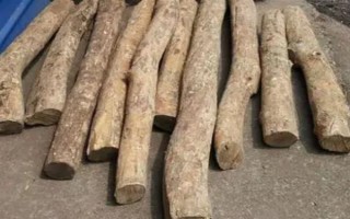 真假黃楊木雕如何鑒別，可以從色澤和包漿來辨別